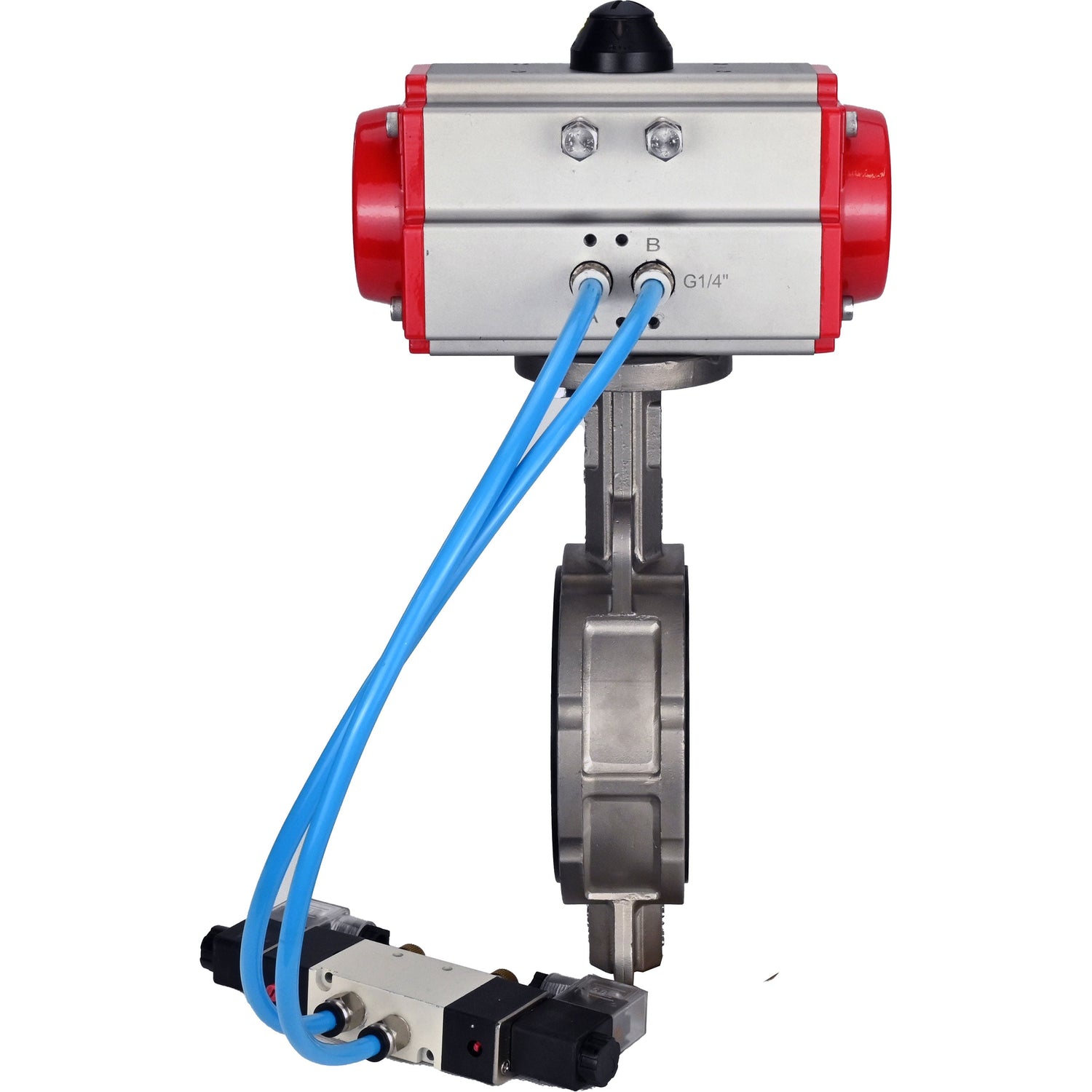 Vanne papillon d'eau Elephant WBV3232E-2W-Fb-H, matériau du corps - acier inoxydable AISI 316L, matériau du disque - acier inoxydable AISI 316L, joint - EPDM, avec actionneur pneumatique double effet PA-DA, 4V320-10 220V