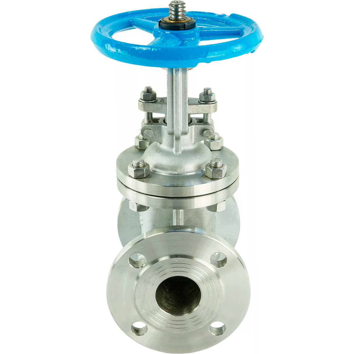 Vanne à opercule Elephant 30yg41yg GAIR GVWR3131M-2W-FS, matériau du corps - acier inoxydable AISI 304, matériau de l'opercule - acier inoxydable AISI 304, joint - métal, volant