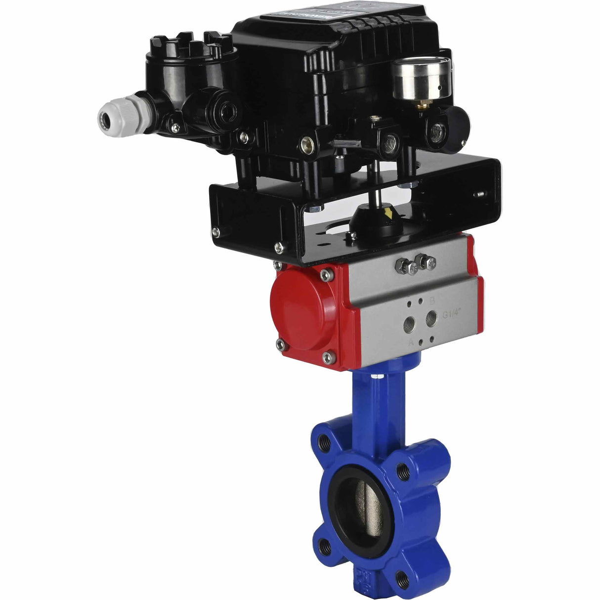 Vanne papillon d'eau Elephant WBV1631N-2W-Fb-H, matériau du corps - fonte QT450, matériau du disque - acier inoxydable AISI 304, joint - NBR, actionneur pneumatique PA-SA avec ressorts de rappel, positionneur YT-1000RSN sans rétroaction