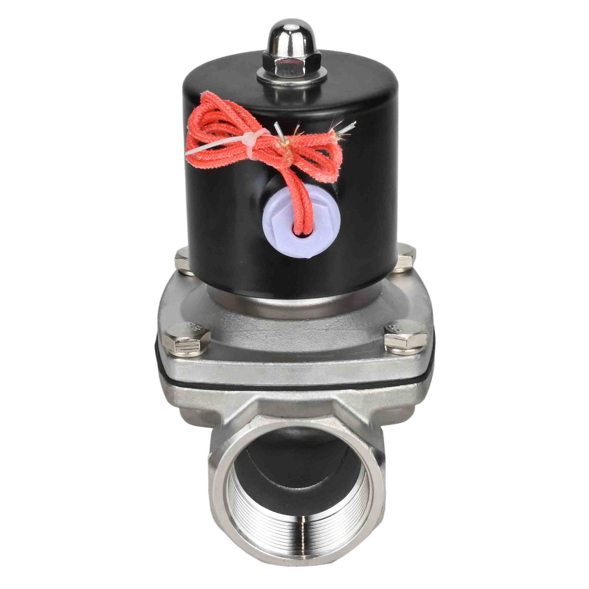 Electroválvula eléctrica de acción directa de dos vías normalmente cerrada Elephant VS2W-101N-NC NBR 110/220V, material del cuerpo - acero inoxidable AISI 304, junta - NBR