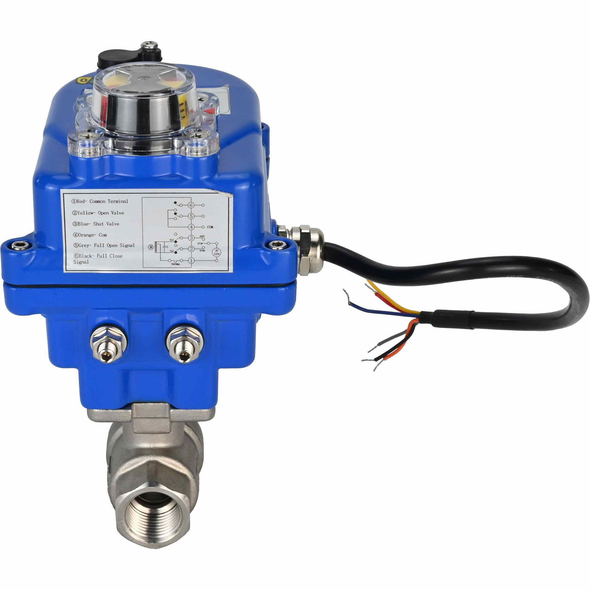 Válvula de bola de acero inoxidable Elephant BVMP.316.230-ISO PSI914 SS316 roscada, actuador eléctrico de cuarto de vuelta Elephant 003 azul 220 V