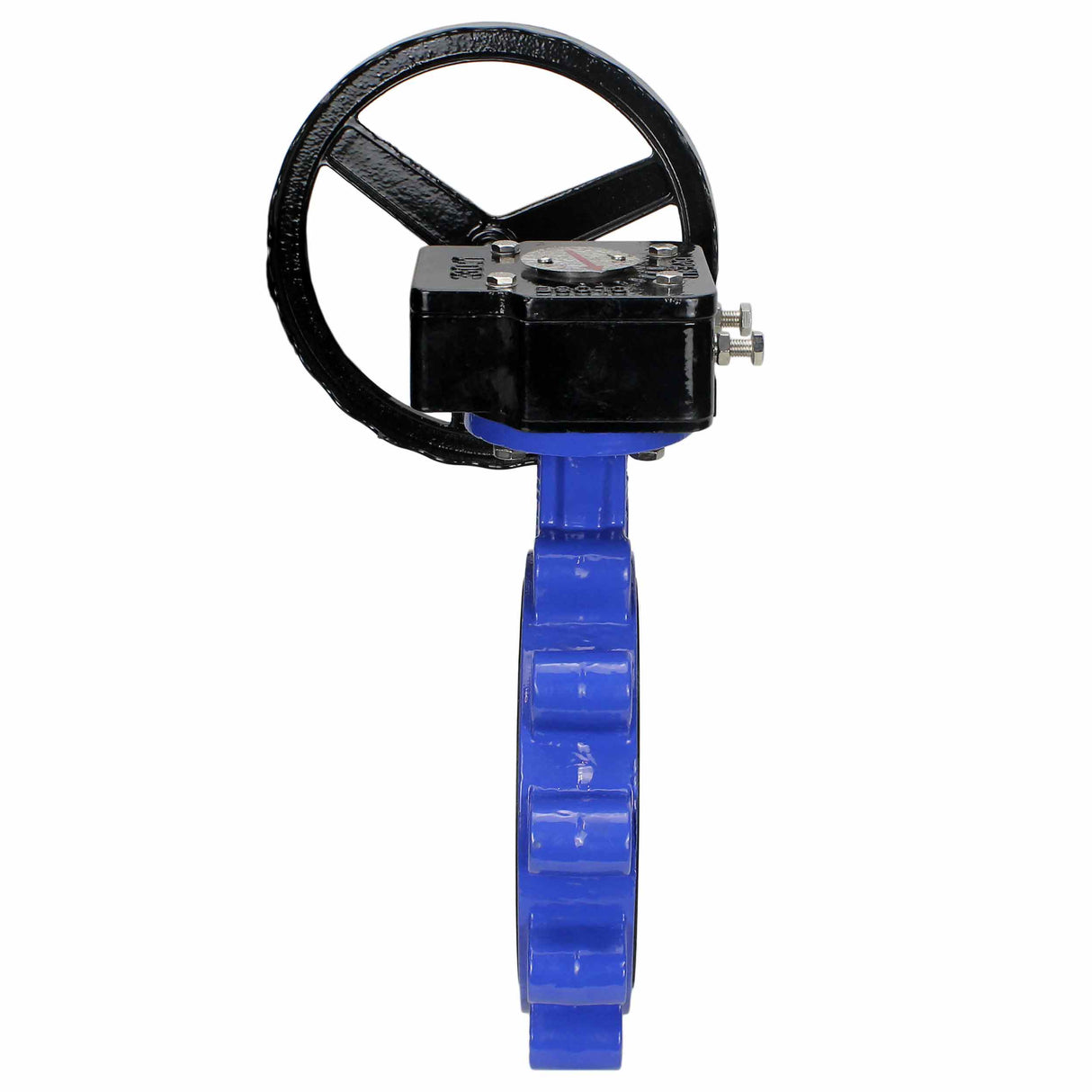 Vanne papillon d'eau Elephant WBV1631N-2W-Fb-R, matériau du corps - fonte QT450, matériau du disque - acier inoxydable AISI 304, joint - NBR, réducteur