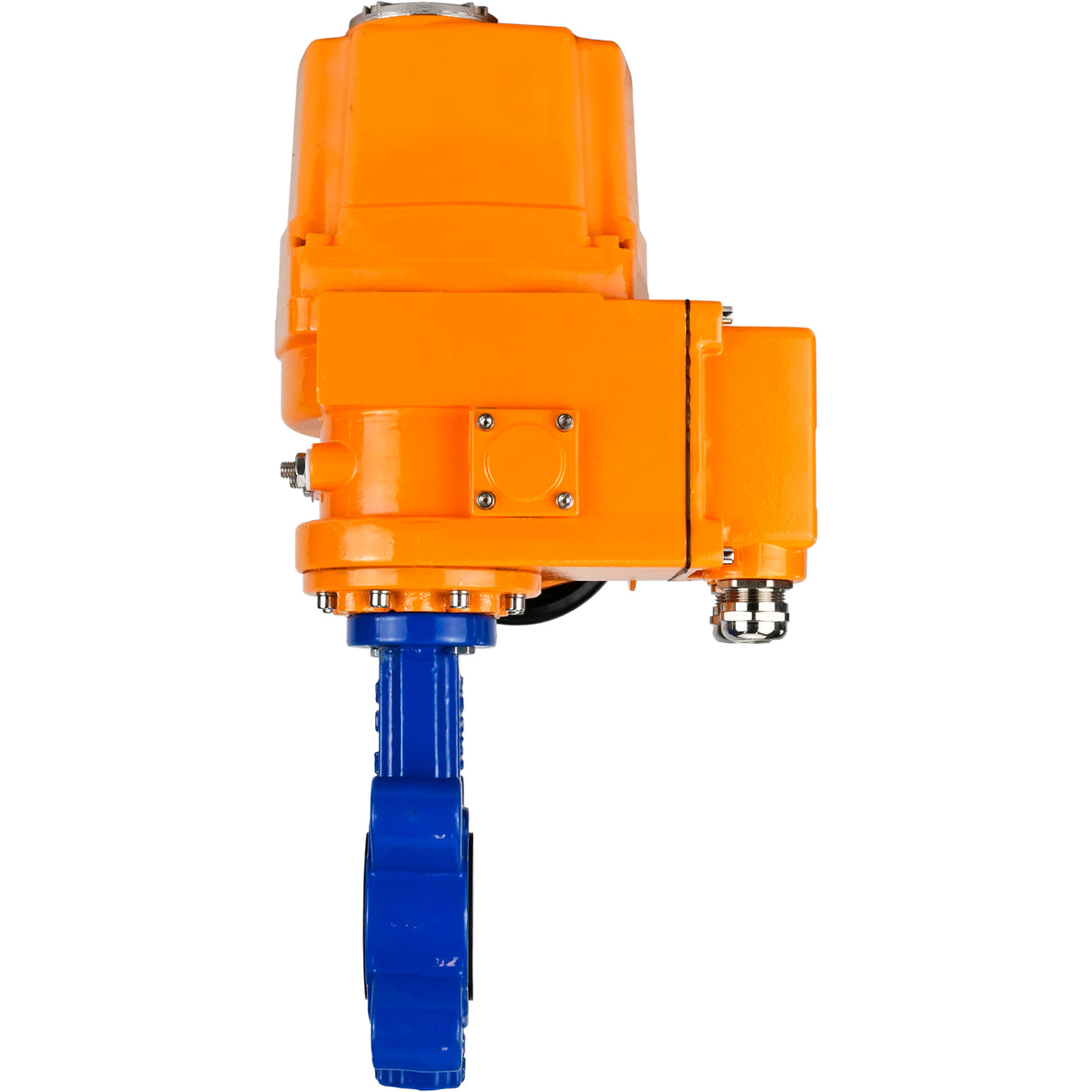 Vanne papillon d'eau Elephant WBV1616N-2W-Fb-H, matériau du corps - fonte QT450, matériau du disque - fonte QT450, joint - NBR, actionneur électrique QT-EX-EM-O1-380VAC-U1 380V