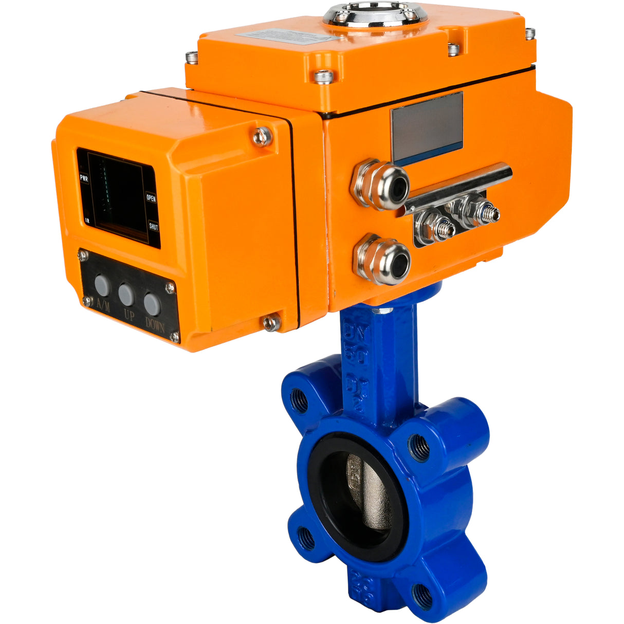 Vanne papillon d'eau Elephant WBV1616E-2W-Fb-H, matériau du corps - fonte QT450, matériau du disque - fonte QT450, joint - EPDM, actionneur électrique QT-N-EM-B1-220VAC-U1 220V