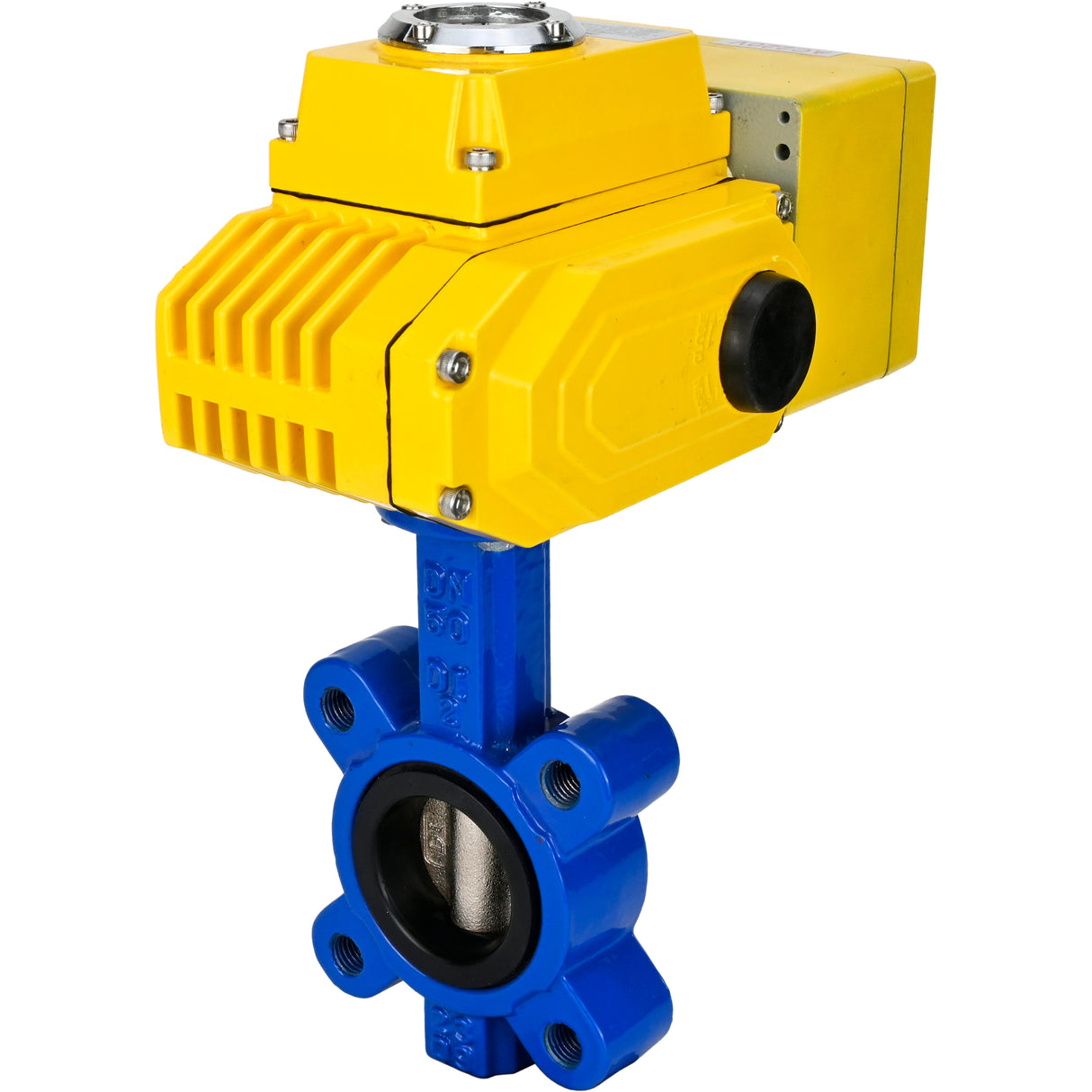 Vanne papillon d'eau Elephant WBV1616E-2W-Fb-H, matériau du corps - fonte QT450, matériau du disque - fonte QT450, joint - EPDM, actionneur électrique QT-N-EM-A1-220VAC-U1 220V