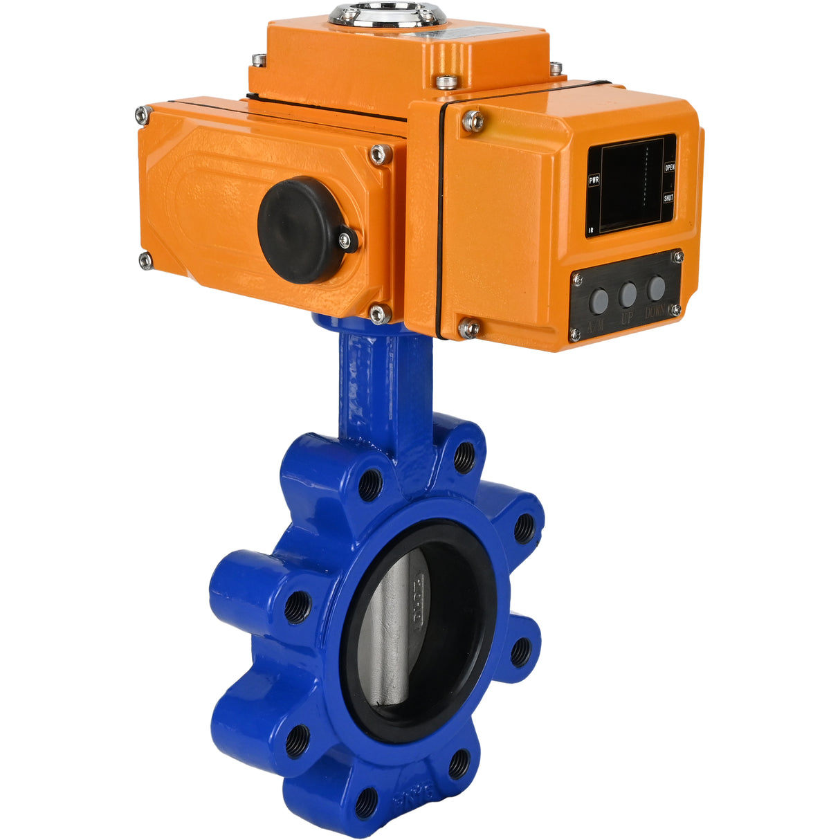 Vanne papillon d'eau Elephant WBV1631N-2W-Fb-H, matériau du corps - fonte QT450, matériau du disque - acier inoxydable AISI 304, joint - NBR, actionneur électrique QT-N-EM-B1-220VAC-U1 220V