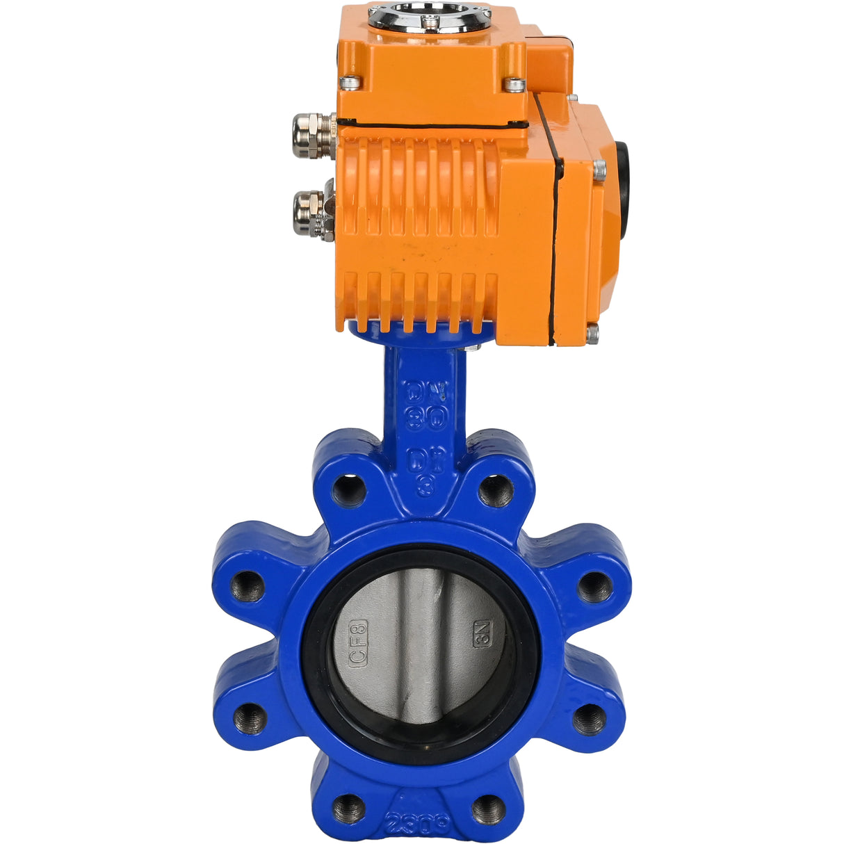 Vanne papillon d'eau Elephant WBV1631N-2W-Fb-H, matériau du corps - fonte QT450, matériau du disque - acier inoxydable AISI 304, joint - NBR, actionneur électrique QT-N-EM-B1-220VAC-U1 220V