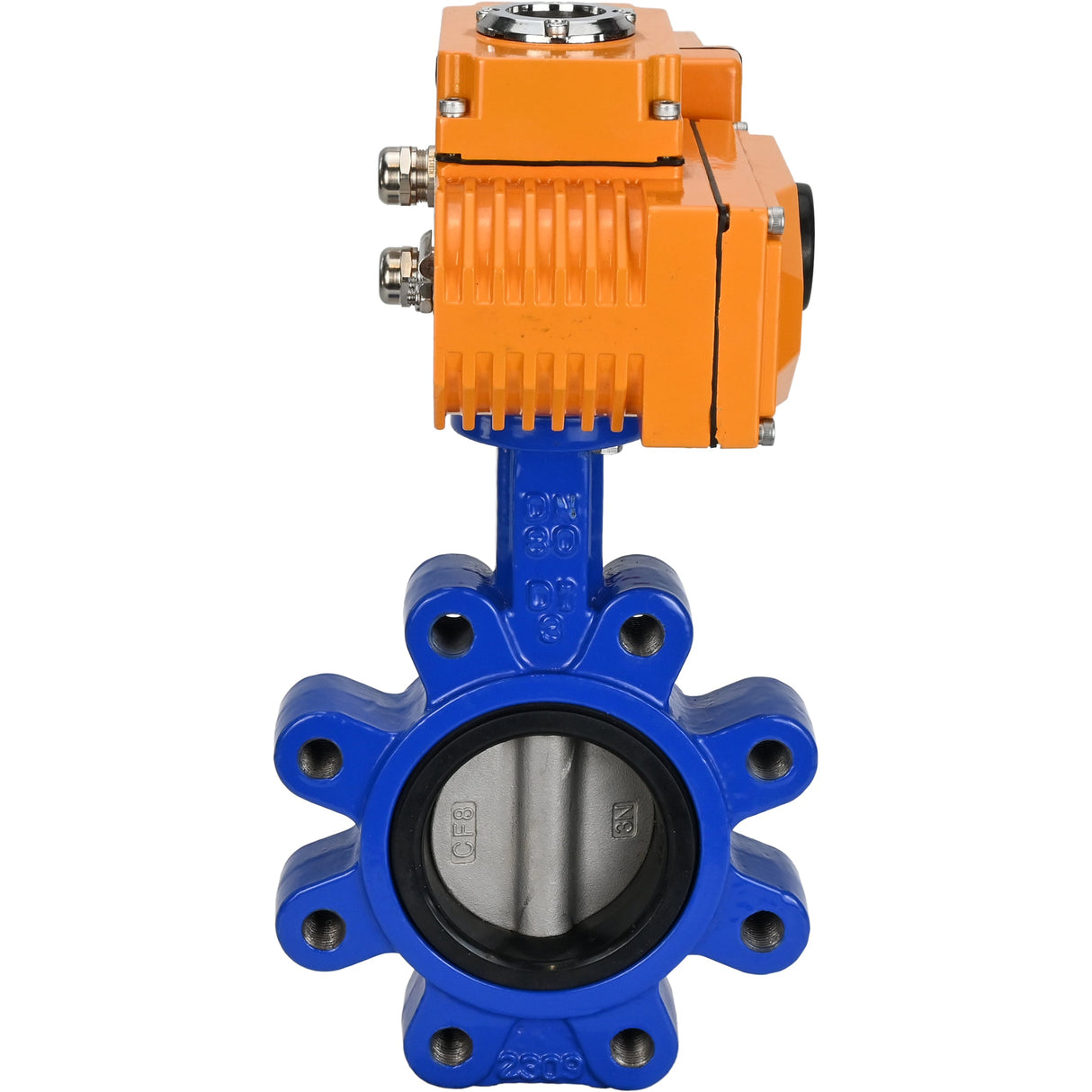 Vanne papillon d'eau Elephant WBV1631N-2W-Fb-H, matériau du corps - fonte QT450, matériau du disque - acier inoxydable AISI 304, joint - NBR, actionneur électrique QT-N-EM-B1-220VAC-U1 220V