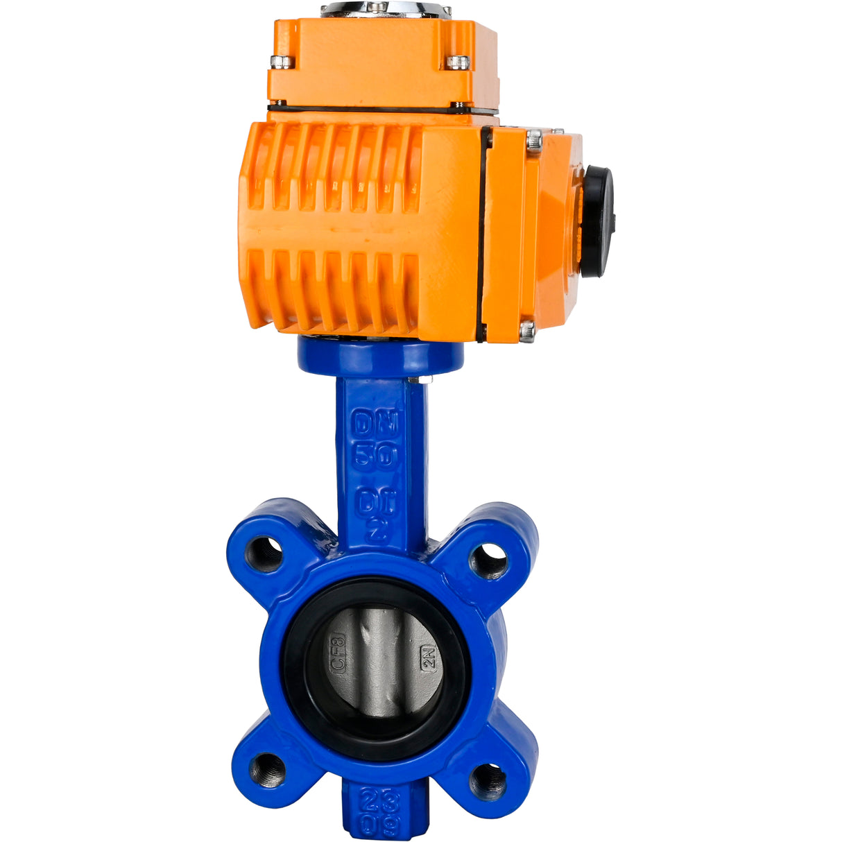 Vanne papillon d'eau Elephant WBV1631N-2W-Fb-H, matériau du corps - fonte QT450, matériau du disque - acier inoxydable AISI 304, joint - NBR, actionneur électrique QT-N-EM-O1-24VDC-U1 24V