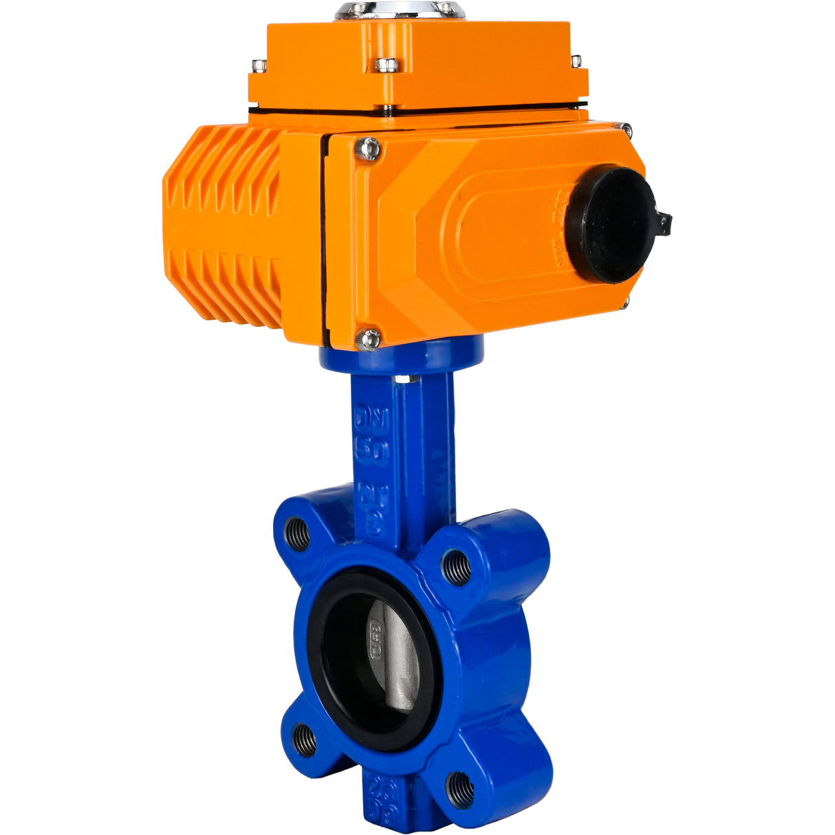 Vanne papillon d'eau Elephant WBV1631N-2W-Fb-H, matériau du corps - fonte QT450, matériau du disque - acier inoxydable AISI 304, joint - NBR, actionneur électrique QT-N-EM-O1-24VDC-U1 24V