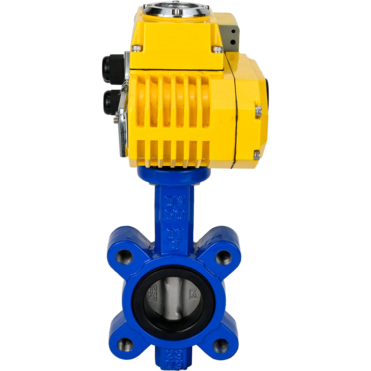 Vanne papillon d'eau Elephant WBV1631N-2W-Fb-H, matériau du corps - fonte QT450, matériau du disque - acier inoxydable AISI 304, joint - NBR, actionneur électrique QT-N-EM-A1-220VAC-U1 220V