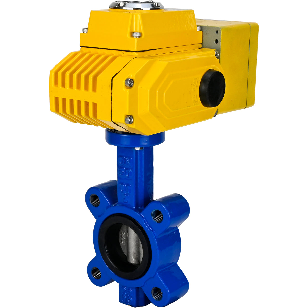 Vanne papillon d'eau Elephant WBV1631N-2W-Fb-H, matériau du corps - fonte QT450, matériau du disque - acier inoxydable AISI 304, joint - NBR, actionneur électrique QT-N-EM-A1-220VAC-U1 220V