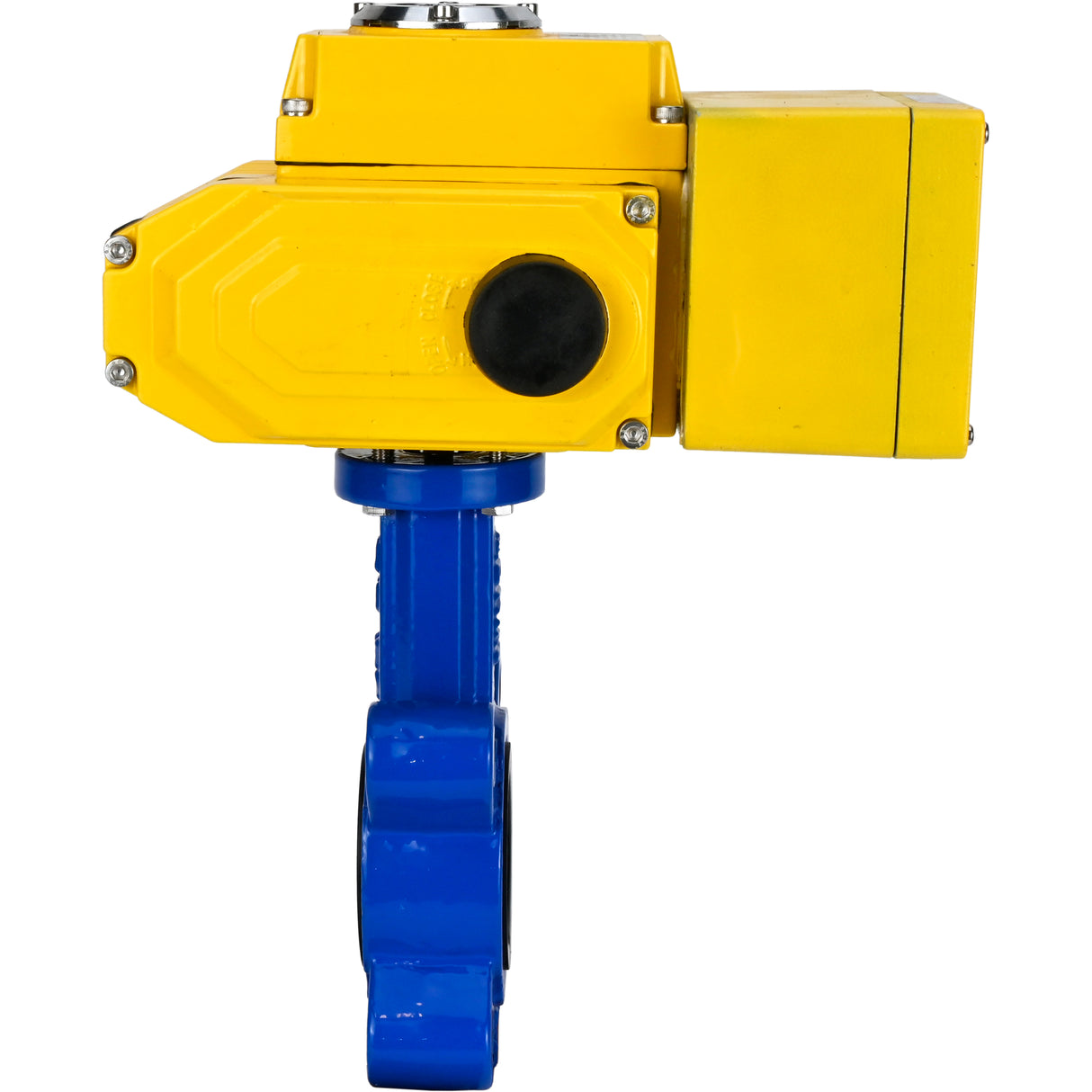 Vanne papillon d'eau Elephant WBV1631N-2W-Fb-H, matériau du corps - fonte QT450, matériau du disque - acier inoxydable AISI 304, joint - NBR, actionneur électrique QT-N-EM-A1-220VAC-U1 220V