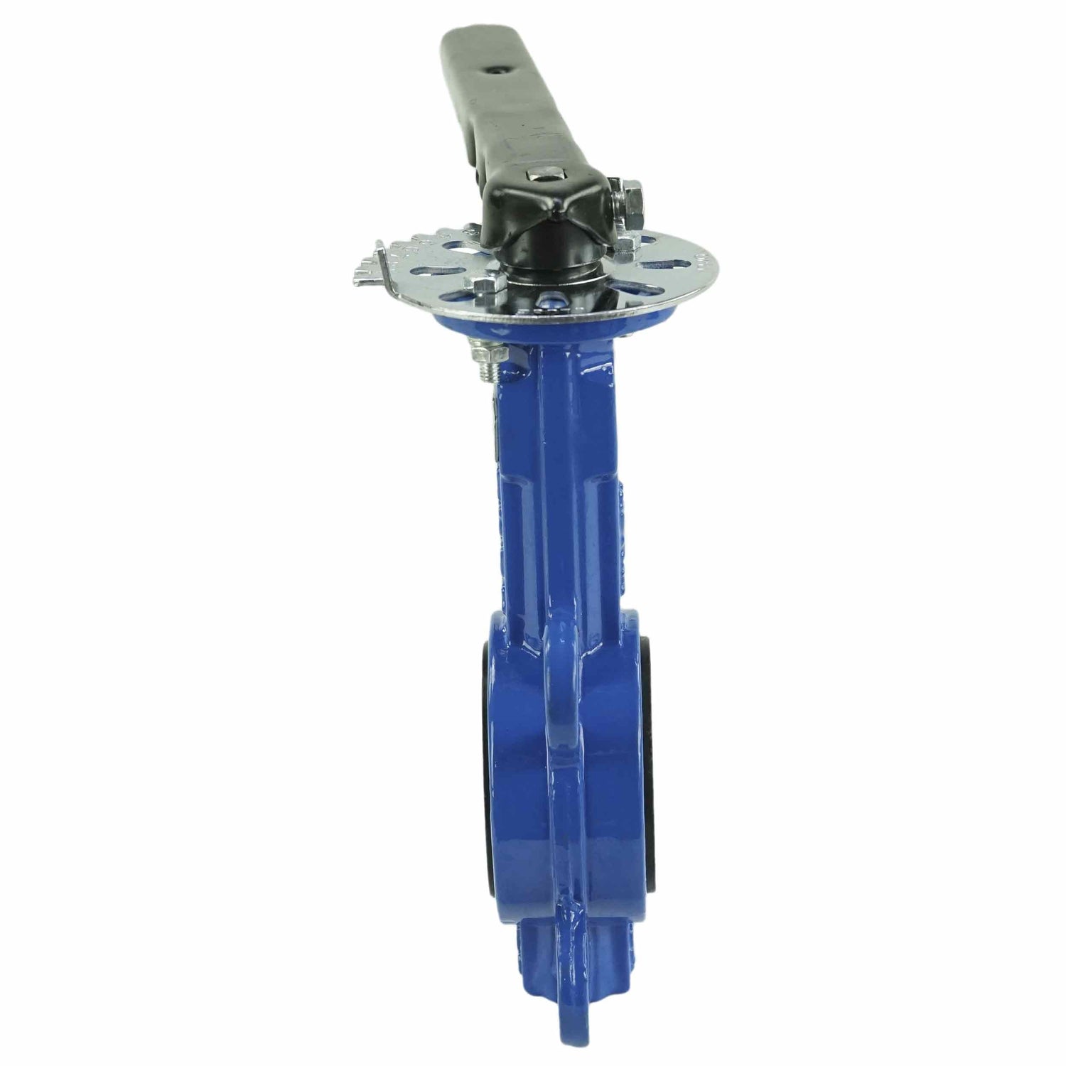 Válvula de mariposa de agua Elephant GGG50-316L-EPDM 232PSI, material del cuerpo: hierro fundido GGG50, material del disco: acero inoxidable 316L, sello: EPDM, operada por volante