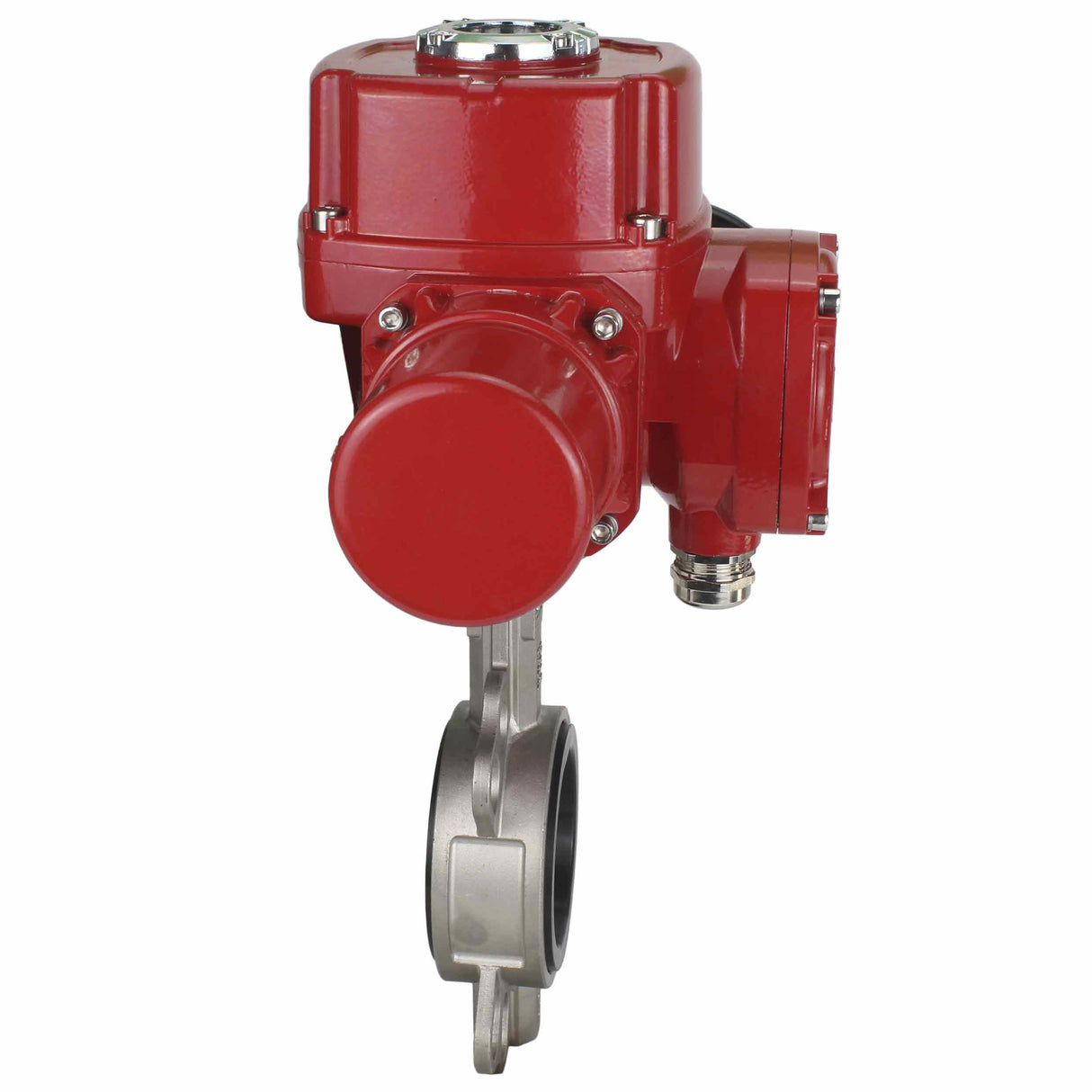 Válvula de mariposa de agua Elephant 316l-316l-epdm-elephant-qt-wm-ex-110/220v, material del cuerpo - acero inoxidable AISI 316L, material del disco - acero inoxidable AISI 316L, sello - EPDM, actuador eléctrico operado