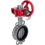 Vanne papillon d'eau Elephant WBV3131E-2W-Fb-H, matériau du corps - Acier inoxydable AISI 304, matériau du disque - Acier inoxydable AISI 304, joint - EPDM, réducteur HGBF RQN