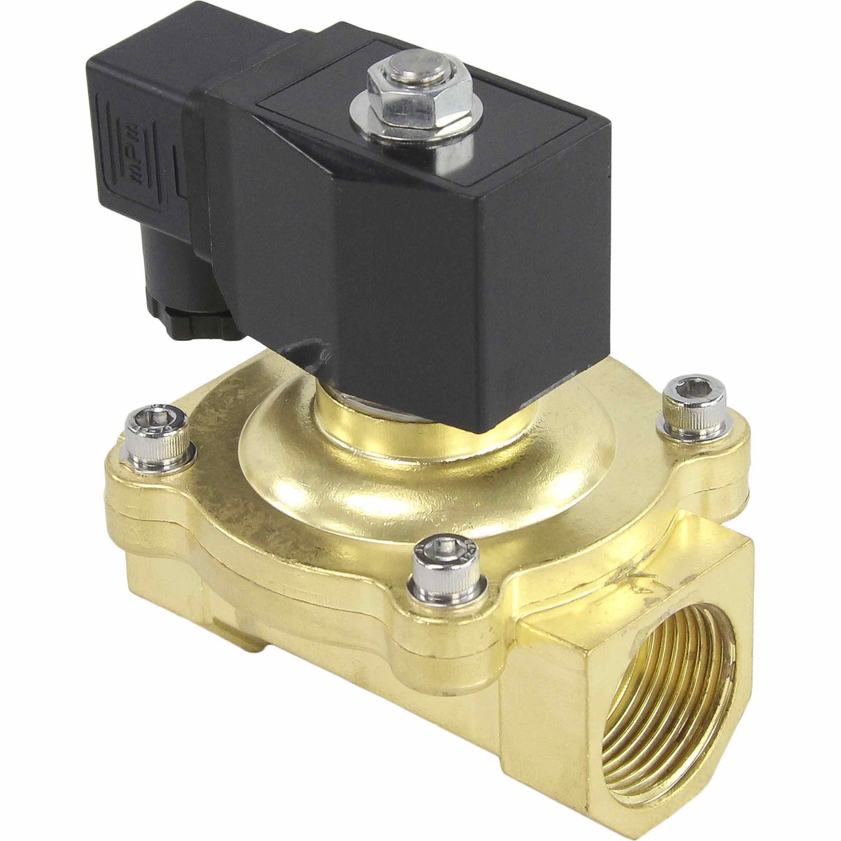 Electroválvula eléctrica de acción directa de dos vías normalmente cerrada Elephant VS2W-200V-NC VITON 24V, material del cuerpo - latón, junta - Viton