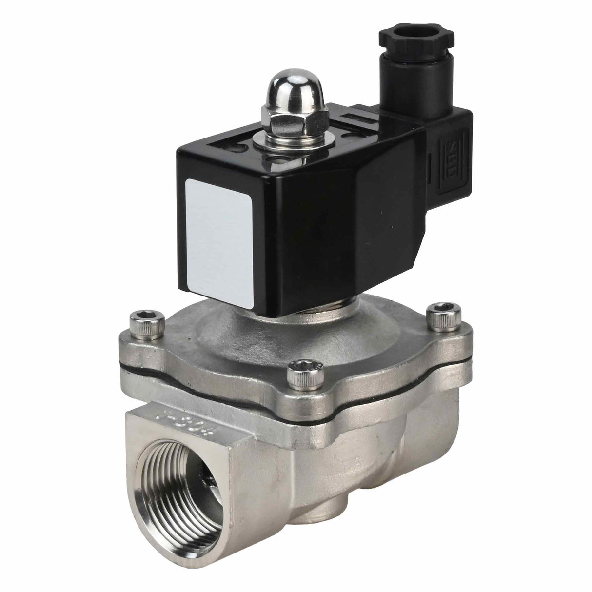 Electroválvula eléctrica de acción directa de dos vías normalmente abierta Elephant VS2W-301V-NO VITON 24V, material del cuerpo - acero inoxidable AISI 304, junta - VITON