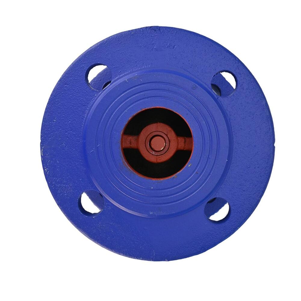 Válvula de retención de resorte Elephant 402A PSI232, material del cuerpo: hierro fundido GGG50, bridada