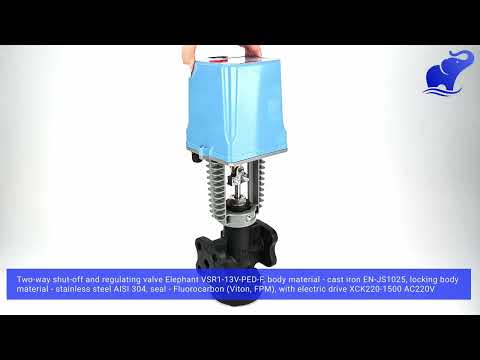 Two-way shut-off and regulating valve Elephant VSR1-13V-PED-F, body material - cast iron EN-JS1025, locking body material - stainless steel AISI 304, seal - Fluorocarbon (Viton, FPM), with electric drive XCK220-1500 AC220V