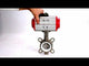Vanne papillon d'eau Elephant WBV3131P-2W-Fb-H, matériau du corps - Acier inoxydable AISI 304, matériau du disque - Acier inoxydable AISI 304, joint - PTFE, actionneur pneumatique PA-DA double action