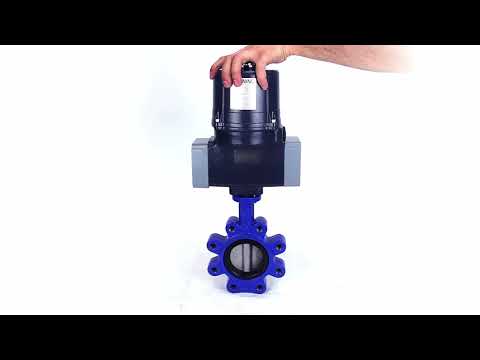 Butterfly valves Elephant WBV1631E-2W-Fb-H LUG interflanged, body - cast iron GGG45/QT450, disc - stainless steel AISI 304, seal - EPDM, with electric quarter turn actuator Elephant QTSA-N-EM-O0-220VAC