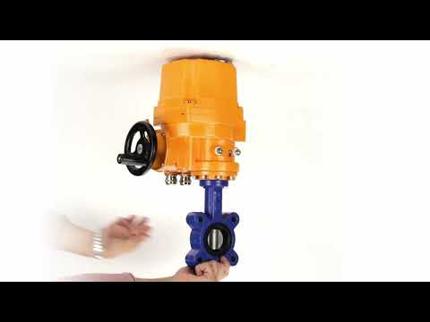 Vanne papillon d'eau Elephant WBV1631N-2W-Fb-H, matériau du corps - fonte QT450, matériau du disque - acier inoxydable AISI 304, joint - NBR, actionneur électrique QT-EX-EM-O1-24VDC-U1 24V