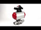 Vannes à boisseau sphérique Elephant BV3131P(3pc)-FP-W-ISO-H LONG DN10-150 passage intégral, corps - acier inoxydable 304, soudé, avec actionneur pneumatique Elephant PA-DA et bloc de fin de course APL-210N