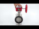 Vanne papillon d'eau Elephant WBV3131E-2W-Fb-H, matériau du corps - Acier inoxydable AISI 304, matériau du disque - Acier inoxydable AISI 304, joint - EPDM, réducteur HGBF RQN