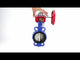 Válvula de mariposa de agua Elephant g50-g40-epdm-elephant-hgbf, material del cuerpo: hierro fundido GGG50, material del disco: hierro fundido GGG40, sello: EPDM, operada por engranajes