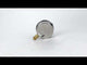 Manomètres anti-vibrations Elephant MB-311-R1.5, radiaux, acier inoxydable 304, classe de précision 1.5