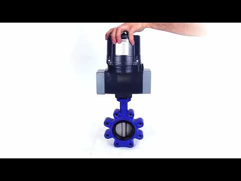 Butterfly valves Elephant WBV1631N-2W-Fb-H LUG interflanged, body - cast iron GGG45/QT450, disc - stainless steel AISI 304, seal - NBR, with electric quarter turn actuator Elephant QTSA-N-EM-O0-220VAC