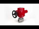 Válvula de bola de acero inoxidable Elephant RP.SS316.200.MM.ISO 914 PSI roscada, puerto estándar, tres vías, tipo L, material del cuerpo - acero inoxidable AISI 316, con actuador eléctrico de cuarto de vuelta Elephant QT-W (M) EX 220V