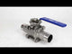 Robinets à boisseau sphérique Elephant BV3131P(3pc)-FP-WH en acier inoxydable SS304, à passage intégral, en trois parties, joint - PTFE, soudé, avec poignée