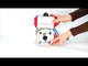 Vannes à boisseau sphérique Elephant BV3131P(3pc)-FP-F-ISO-H 16 bar, trois pièces à passage intégral à brides, acier inoxydable SS304, joint - PTFE, avec actionneur pneumatique PA-SA avec ressorts de rappel, avec distributeur pneumatique 4V320-08 220V