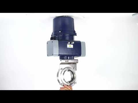 Butterfly valves Elephant WBV3131E-2W-C-H clumpy, body - food grade stainless steel AISI 304, disc - stainless steel AISI 304, seal - EPDM, with electric quarter turn actuator Elephant QTSA-N-EM-O0-220VAC