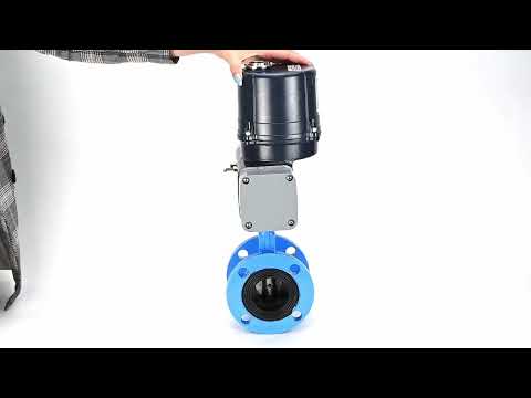 Butterfly valves Elephant WBV1331E-2W-F-H flanged, body - cast iron GGG40, disc - stainless steel 304, seal - EPDM, with electric quarter turn actuator Elephant QTSA-N-EM-O0-220VAC