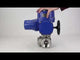 Válvula de bola de acero inoxidable Elephant RP.SS316.200.MM.ISO 914 PSI roscada, puerto estándar, tres vías, tipo L, material del cuerpo - acero inoxidable AISI 316, con actuador eléctrico de cuarto de vuelta Elephant QT-W (M) 220V