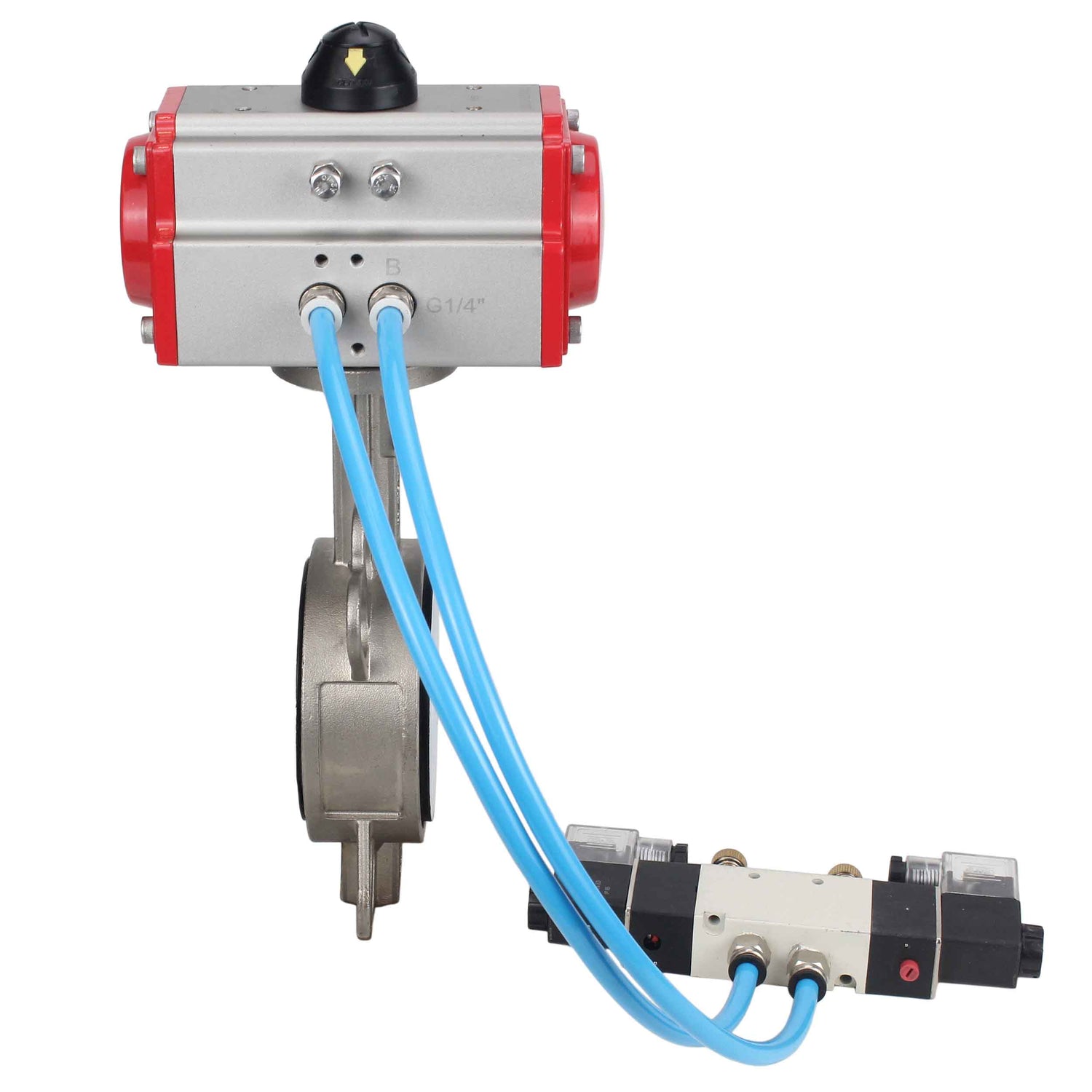 Vanne papillon d'eau Elephant WBV3131P-2W-Fb-H, matériau du corps - Acier inoxydable AISI 304, matériau du disque - Acier inoxydable AISI 304, joint - PTFE, actionneur pneumatique PA-DA double action, 4V320-08 220V