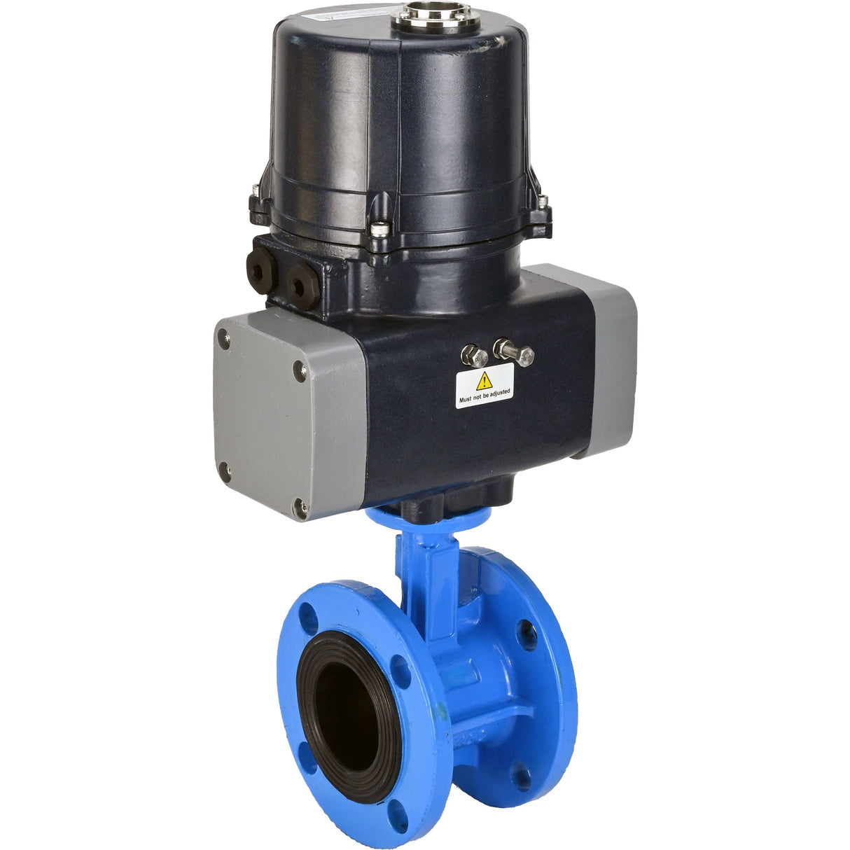 Butterfly valves Elephant WBV1331E-2W-F-H flanged, body - cast iron GGG40, disc - stainless steel 304, seal - EPDM, with electric quarter turn actuator Elephant QTSA-N-EM-O0-220VAC