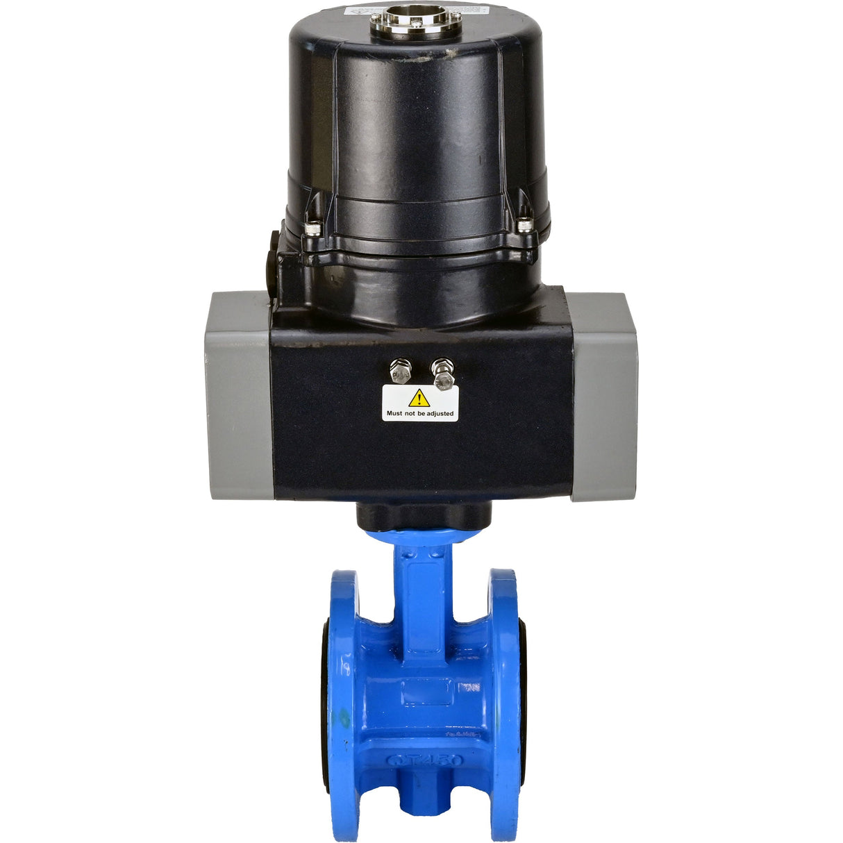 Butterfly valves Elephant WBV1331E-2W-F-H flanged, body - cast iron GGG40, disc - stainless steel 304, seal - EPDM, with electric quarter turn actuator Elephant QTSA-N-EM-O0-220VAC