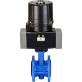 Butterfly valves Elephant WBV1331E-2W-F-H flanged, body - cast iron GGG40, disc - stainless steel 304, seal - EPDM, with electric quarter turn actuator Elephant QTSA-N-EM-O0-220VAC