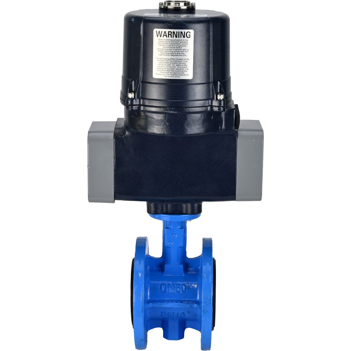 Butterfly valves Elephant WBV1331E-2W-F-H flanged, body - cast iron GGG40, disc - stainless steel 304, seal - EPDM, with electric quarter turn actuator Elephant QTSA-N-EM-O0-220VAC