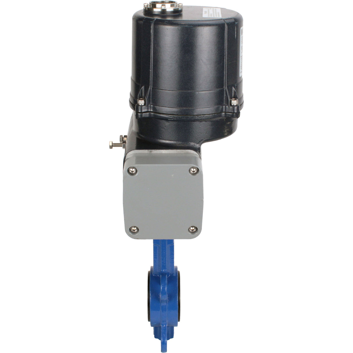 Butterfly valves Elephant WBV1413E-2W-Fb-H interflanged, body - cast iron GGG50, disc - cast iron GGG40, seal - EPDM, with electric quarter turn actuator Elephant QTSA-N-EM-O0-220VAC