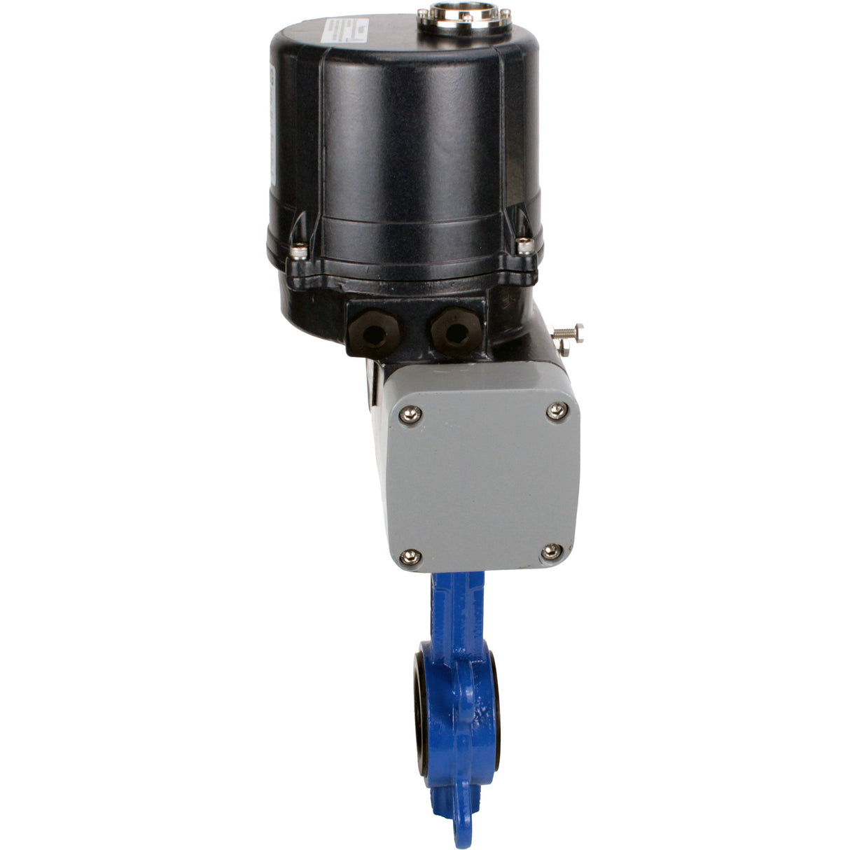 Butterfly valves Elephant WBV1413E-2W-Fb-H interflanged, body - cast iron GGG50, disc - cast iron GGG40, seal - EPDM, with electric quarter turn actuator Elephant QTSA-N-EM-O0-220VAC