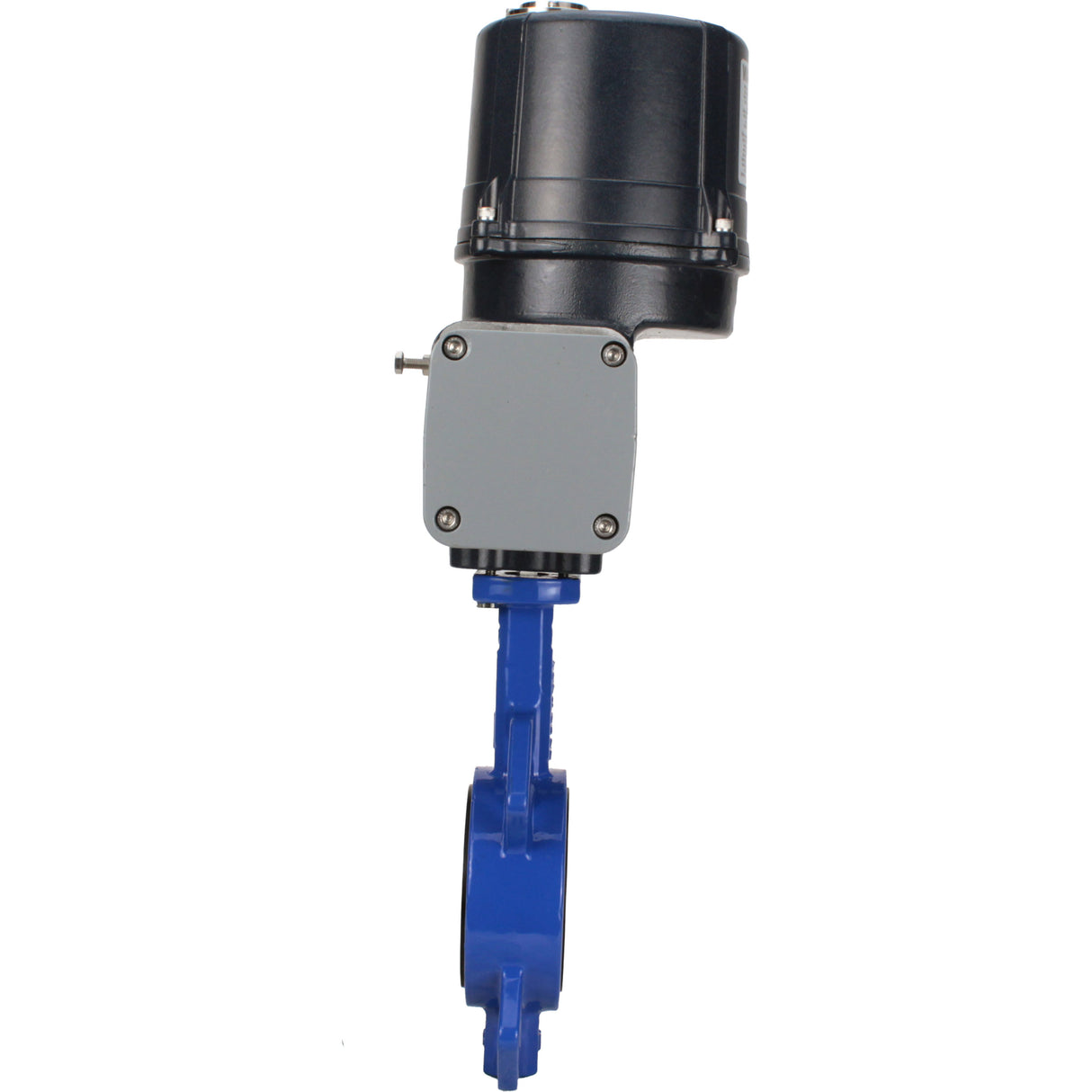 Butterfly valves Elephant WBV1432E-2W-Fb-H interflanged, body - cast iron GGG50, disc - stainless steel 316L, seal - EPDM, with electric quarter turn actuator Elephant QTSA-N-EM-O0-220VAC