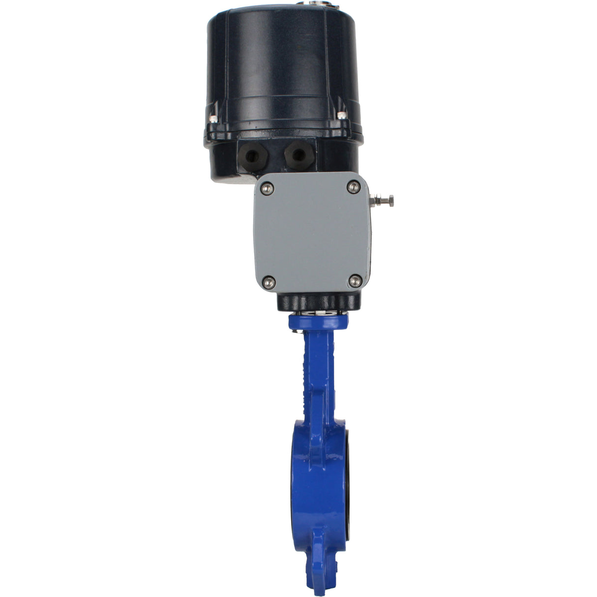 Butterfly valves Elephant WBV1432E-2W-Fb-H interflanged, body - cast iron GGG50, disc - stainless steel 316L, seal - EPDM, with electric quarter turn actuator Elephant QTSA-N-EM-O0-220VAC