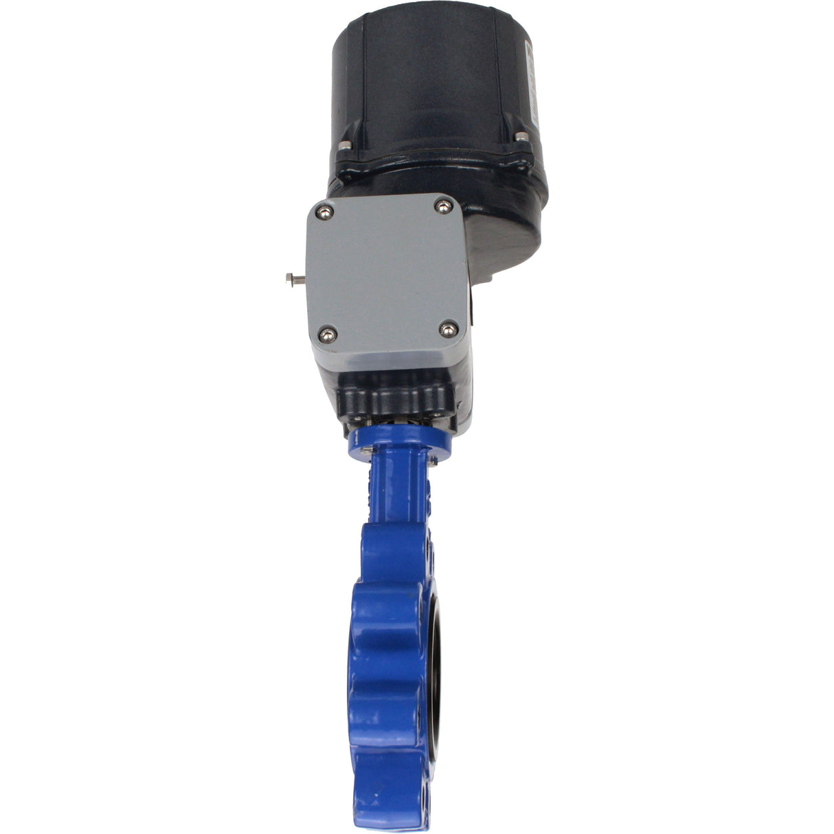 Butterfly valves Elephant WBV1631E-2W-Fb-H LUG interflanged, body - cast iron GGG45/QT450, disc - stainless steel AISI 304, seal - EPDM, with electric quarter turn actuator Elephant QTSA-N-EM-O0-220VAC