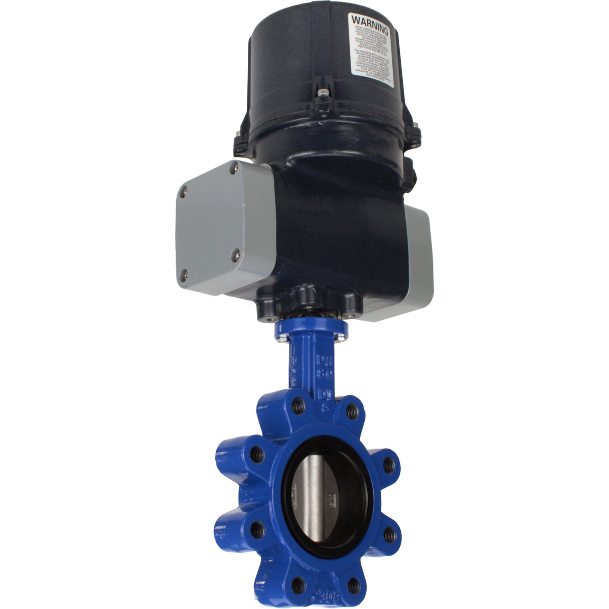 Butterfly valves Elephant WBV1631E-2W-Fb-H LUG interflanged, body - cast iron GGG45/QT450, disc - stainless steel AISI 304, seal - EPDM, with electric quarter turn actuator Elephant QTSA-N-EM-O0-220VAC