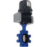Butterfly valves Elephant WBV1631E-2W-Fb-H LUG interflanged, body - cast iron GGG45/QT450, disc - stainless steel AISI 304, seal - EPDM, with electric quarter turn actuator Elephant QTSA-N-EM-O0-220VAC